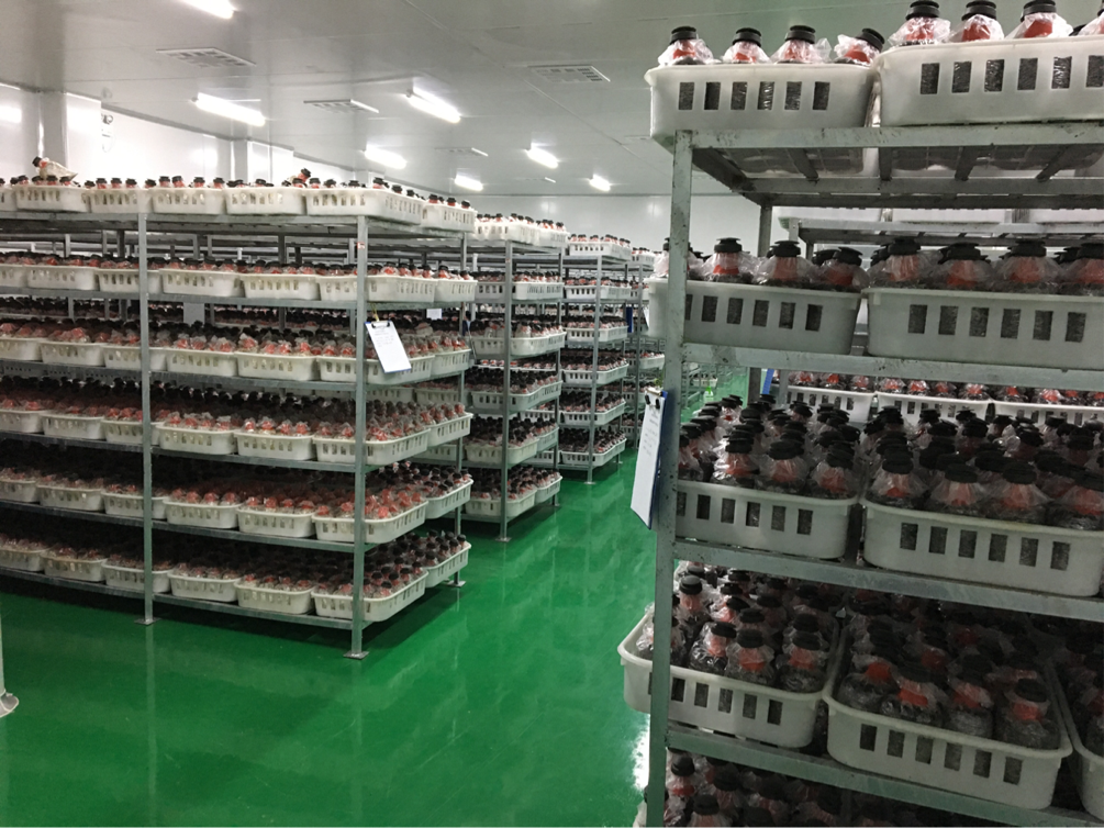 bevictor伟德官网-韦德官方网站