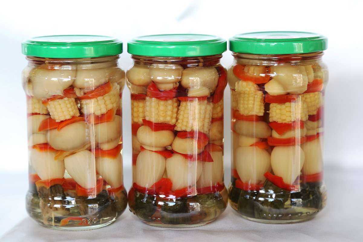 bevictor伟德官网-韦德官方网站