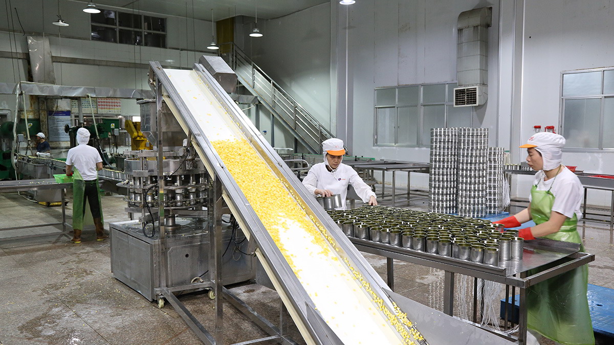 bevictor伟德官网-韦德官方网站